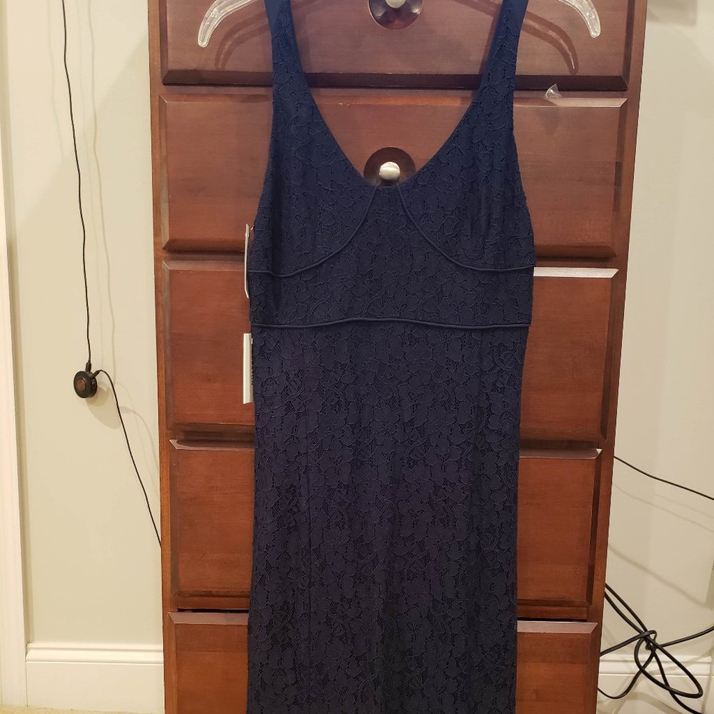 Brand new Aritzia Babaton Lace dress. size 2